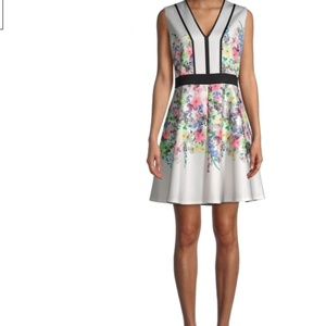 Ted Baker Floral A-Line Dress